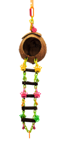 Coconut Basic Cave