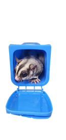 Trash Can Toy