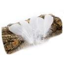 Goose Feathers