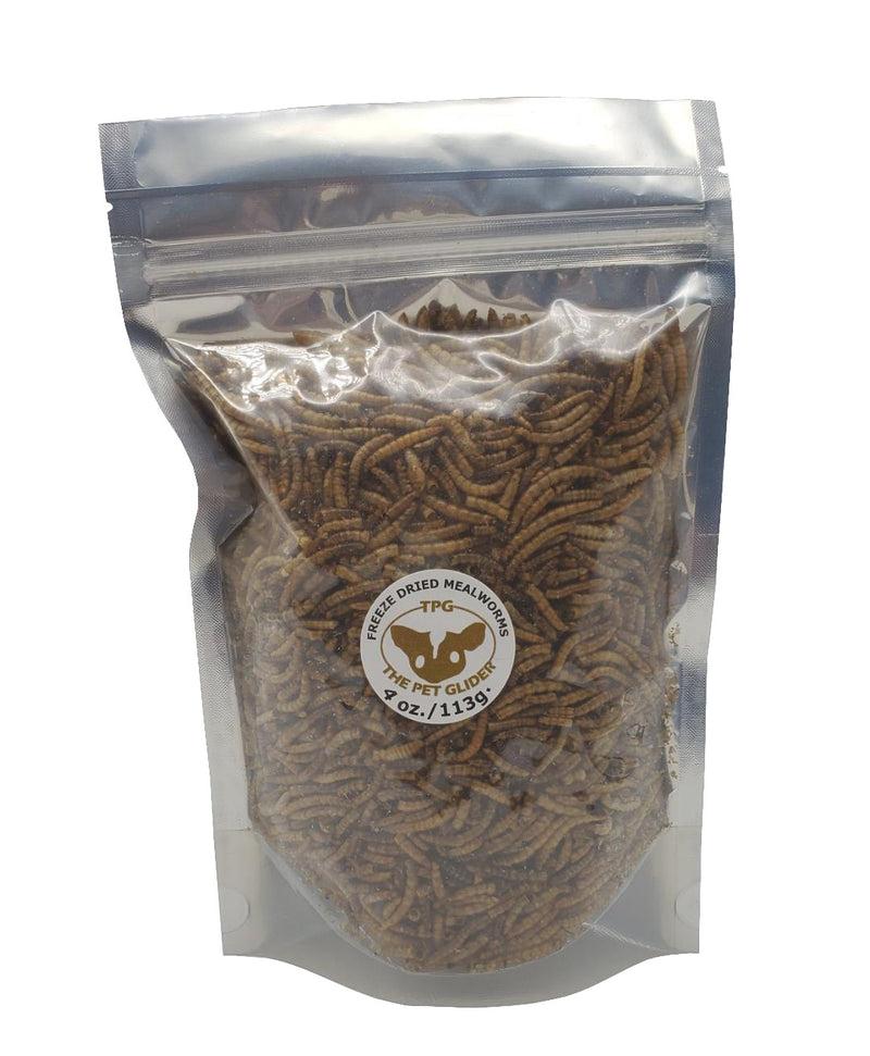 Dried Mealworms