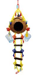 Coconut Foraging Cave