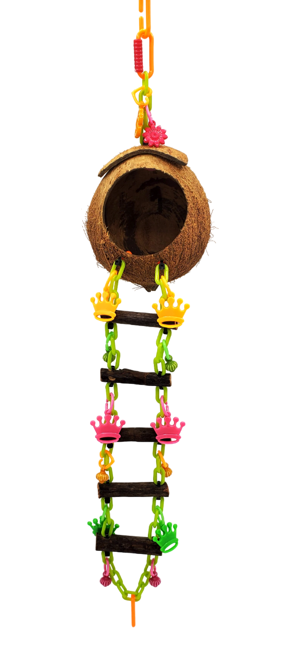 Coconut Basic Cave