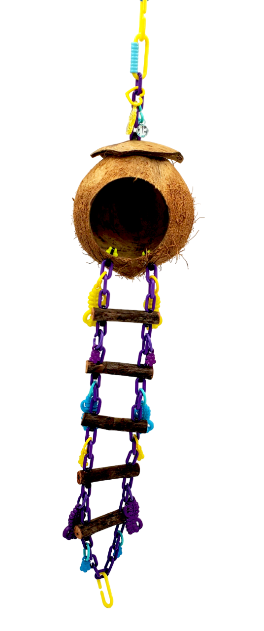 Coconut Basic Cave