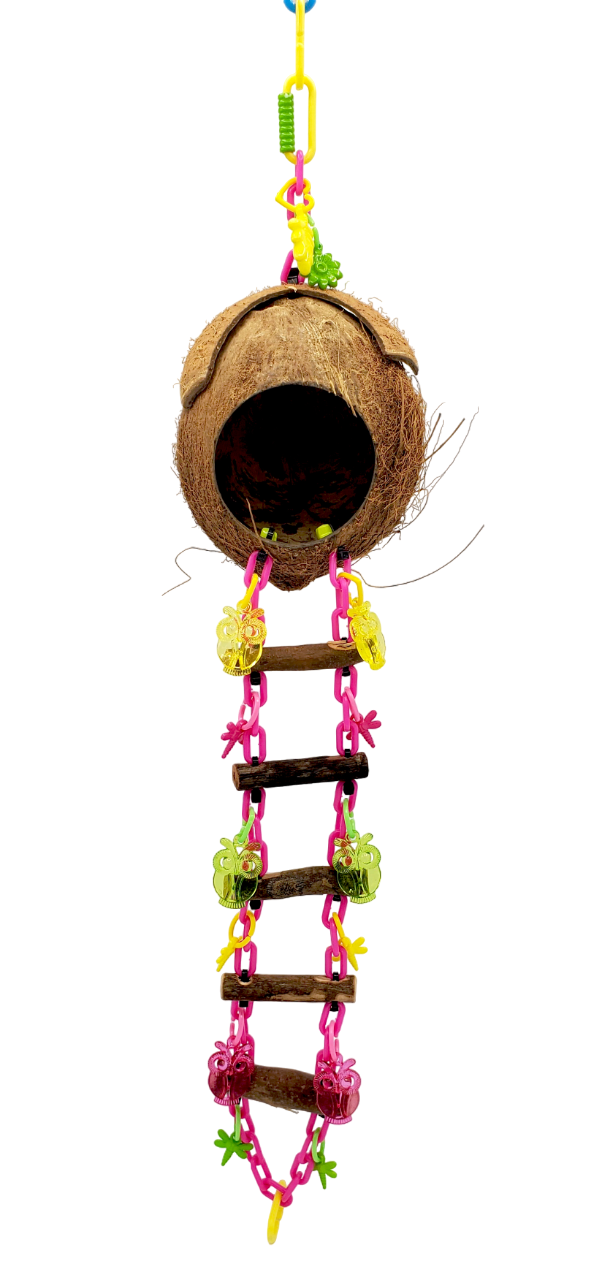 Coconut Basic Cave