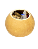 Texas Toy Box - Natural Foraging