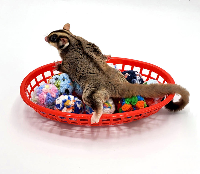 Sugar Glider Toys The Pet Glider Sugar Glider Mastery