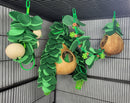 3 Piece Leafy Hideaway Gourd Set