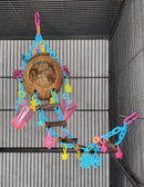 Coconut Foraging Cave