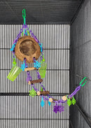 Coconut Foraging Cave