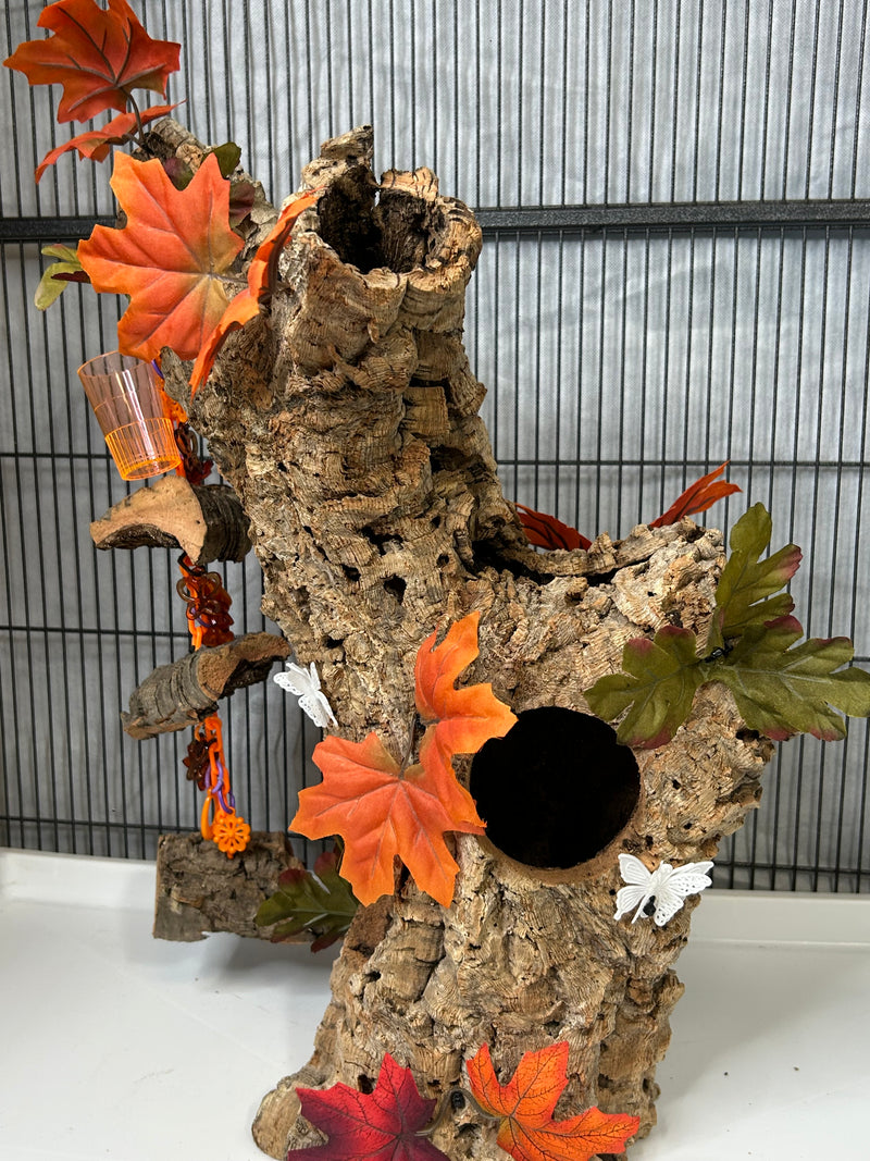 Whispers of Autumn Hideaway