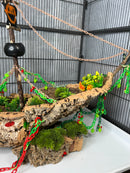 The Forgotten Galleon Hideaway