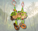 🌿🥥 The Corkonut Jungle Swing 🐾
