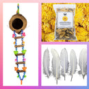 Small Enrichment Bundle