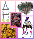 Eucalyptus Enrichment Bundle