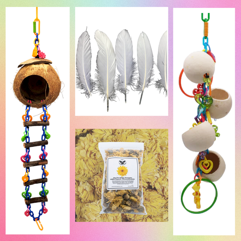 Small Enrichment Bundle