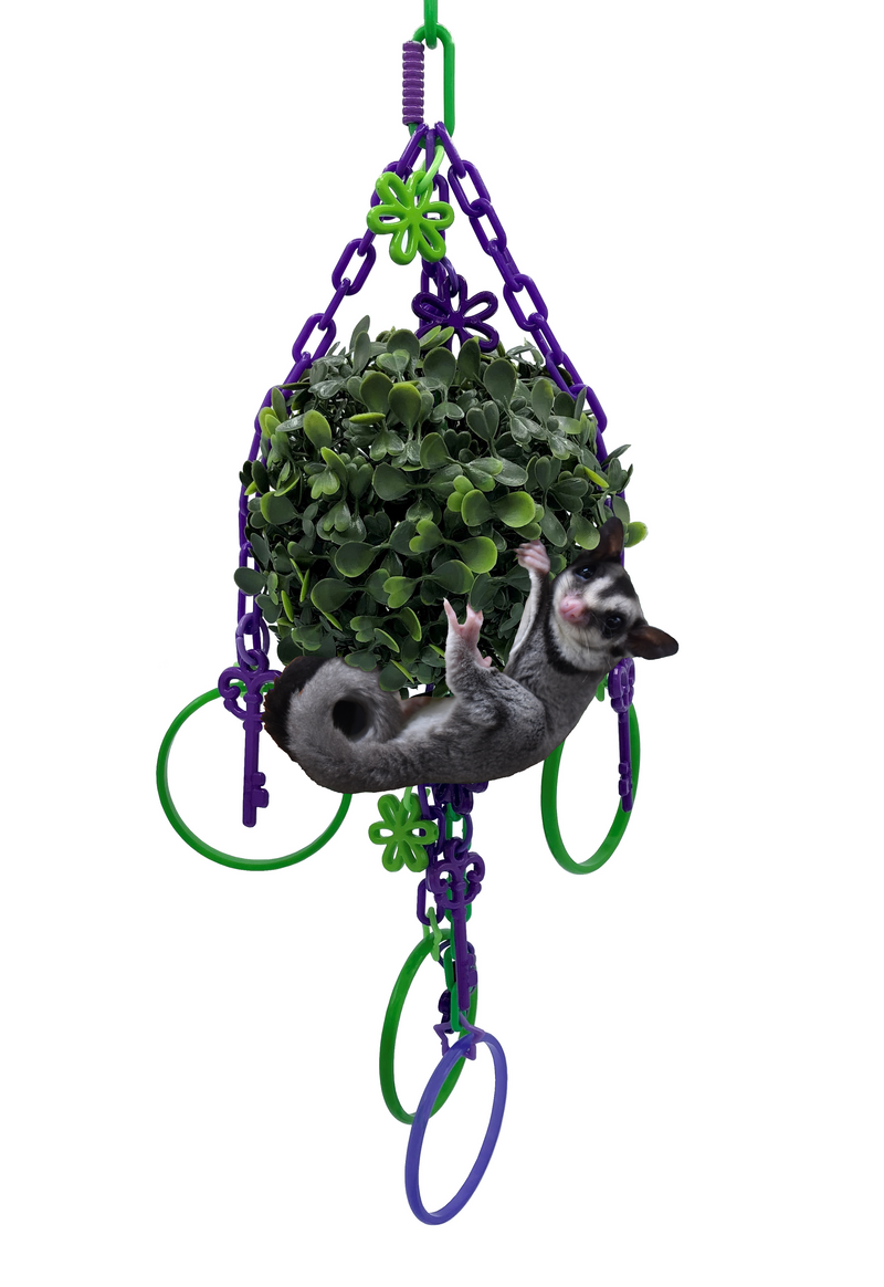 Jungle Gym Topiary