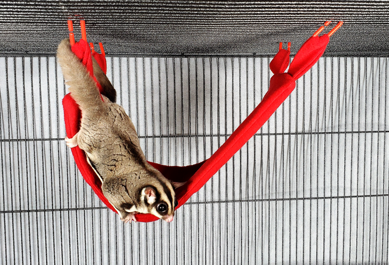 Fleece Bridge Toy