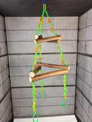 🍃 Canopy Climber Adventure Toy 🍃