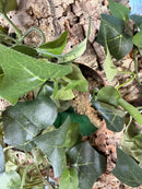 🍀 Whimsy Woods Cork Toy