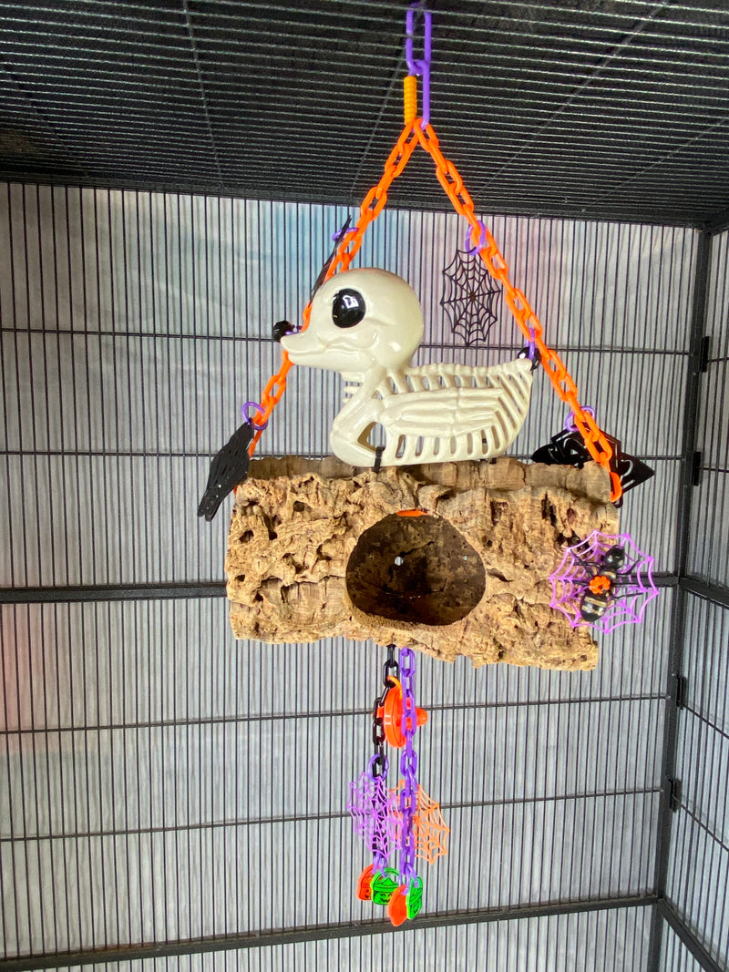Skeleton Duck Hangout
