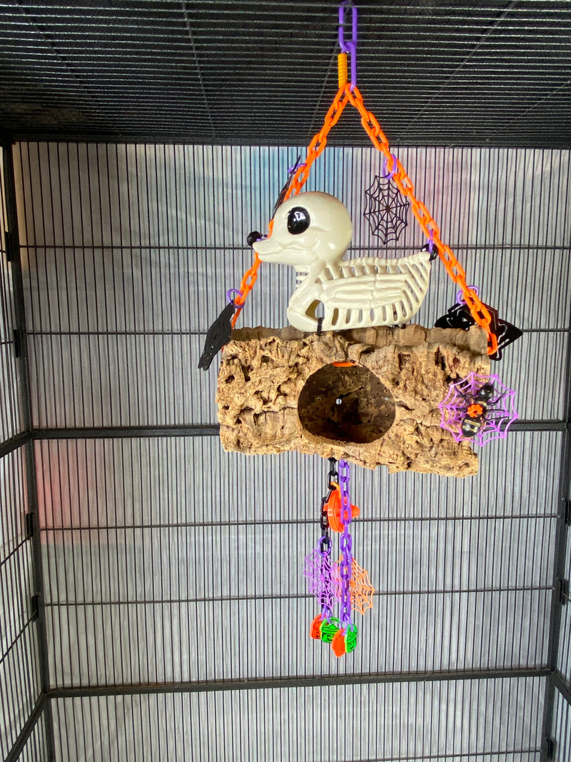 Skeleton Duck Hangout
