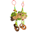 🌿🥥 The Corkonut Jungle Swing 🐾