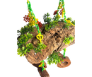 🌿🥥 The Corkonut Jungle Swing 🐾