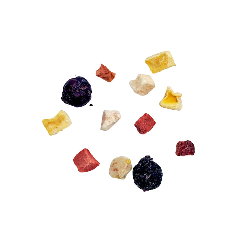 TPG Sugar Glider Fruity Brunch - 1 Pound