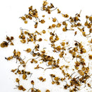 Organic Chamomile