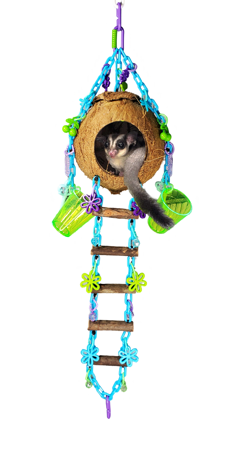 Coconut Foraging Cave