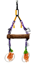 Halloween Eucalyptus Swing