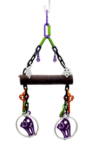 Halloween Eucalyptus Swing