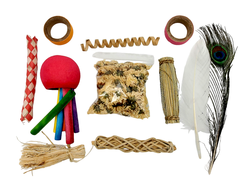 Texas Toy Box - Natural Foraging