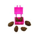 Treasure Chests Foraging Toy