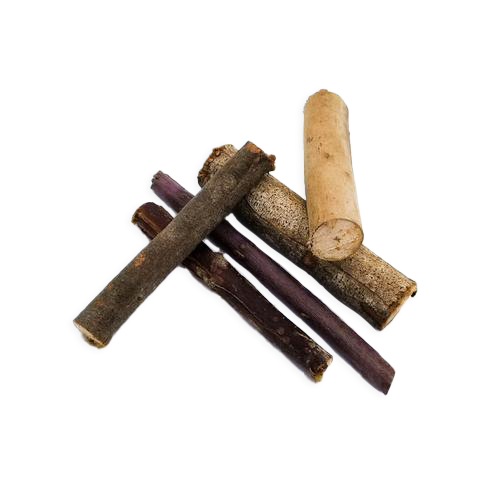 Eucalyptus Chew Sticks