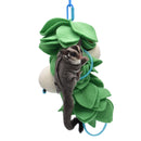 Natural Gourd Forager