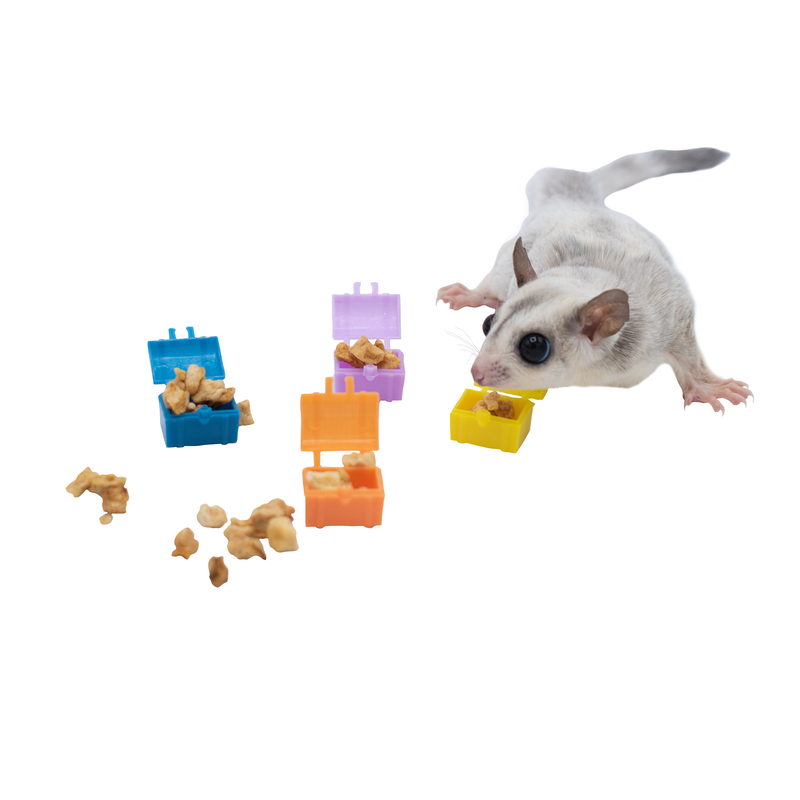 Treasure Chests Foraging Toy