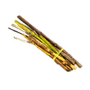 Starter Pack - Branch, Fresh Leaves & Chew Sticks - Organic Eucalyptus