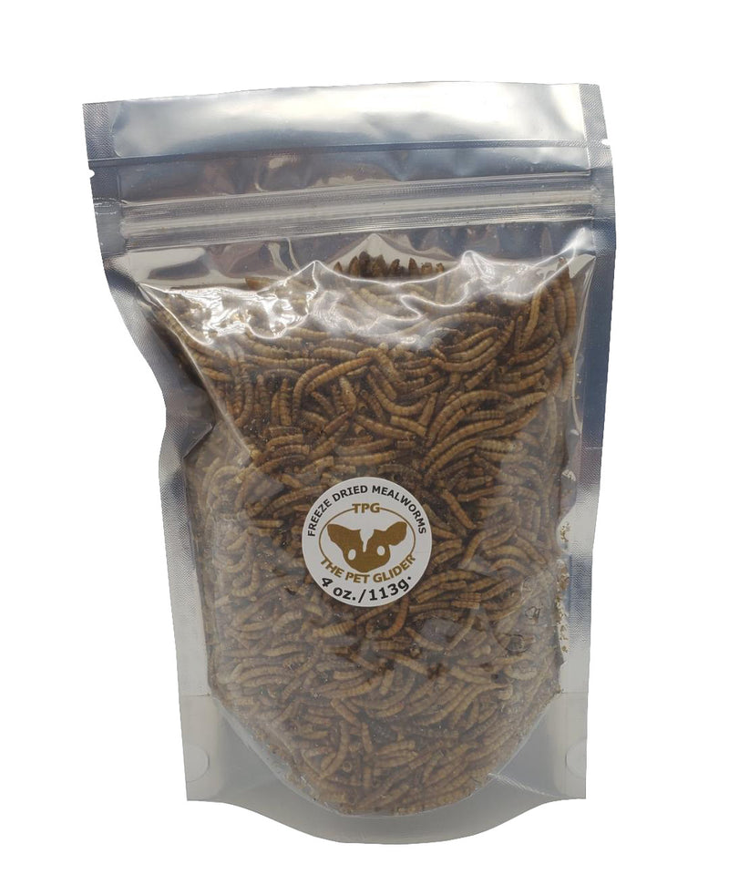 Dried Mealworms