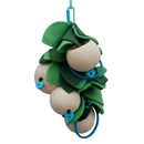 Natural Gourd Forager