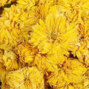 Organic Chrysanthemum